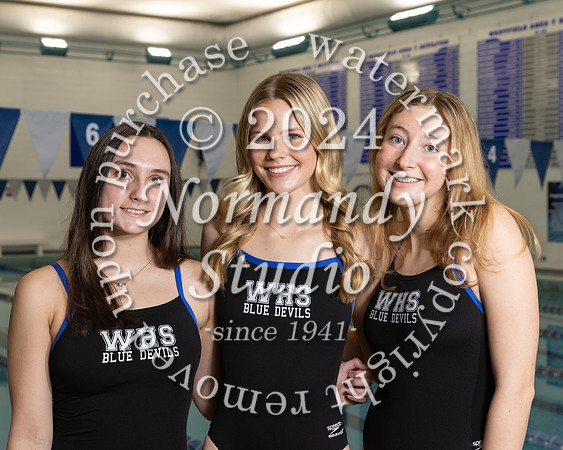 WHS_sw-g-t_05