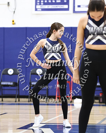 WHS_dt_021