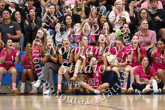 WHS_vb-pink out_59