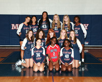 MSM_vb-f-t_03