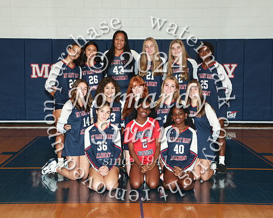 MSM_vb-f-t_03