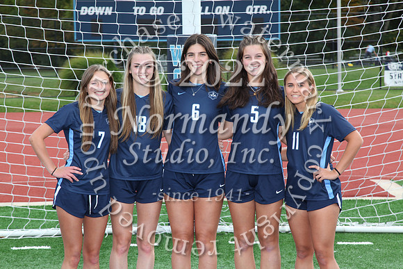 WMC_so-g-v-t_12
