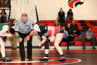 WRESTLING GIRLS