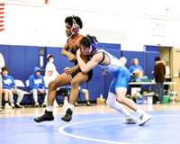 WHS_wr_12