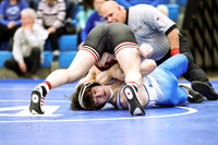 WHS_wr_17