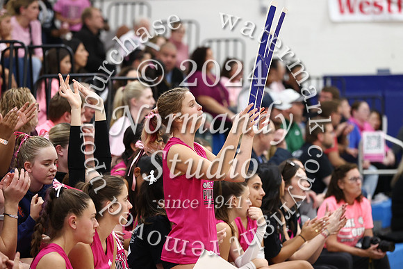WHS_vb-pink out_69