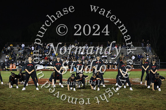 MNP_dt_15