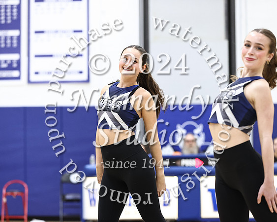 WHS_dt_010