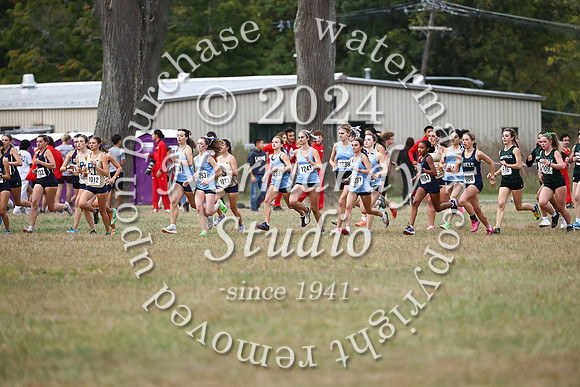 WMC_cc-g_29