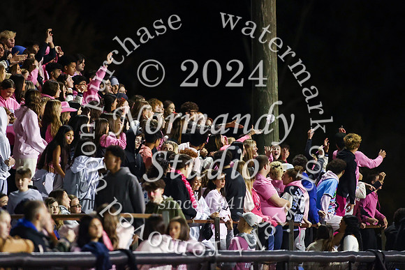 FTH_fans_45