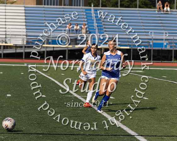 WHS_so-g_18