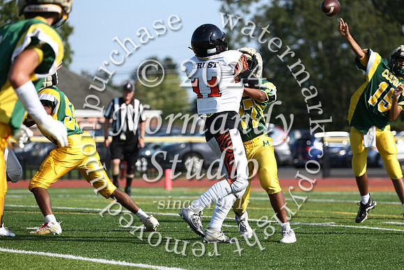 SVL_fb-f_60