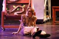 WMC_18_fall play