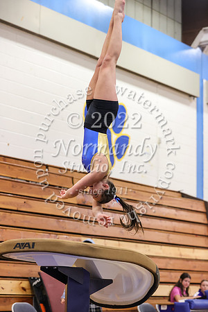 CHS_gy_18