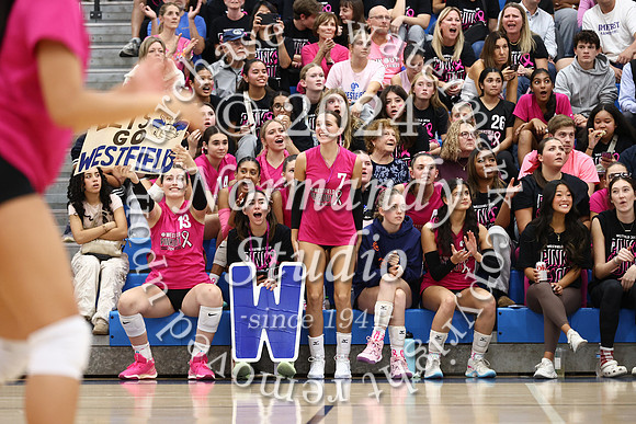 WHS_vb-pink out_55