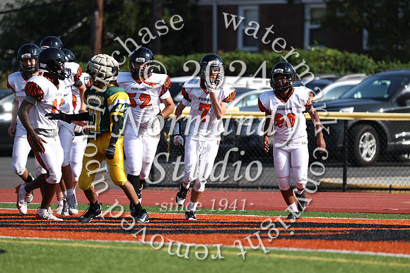 SVL_fb-f_27