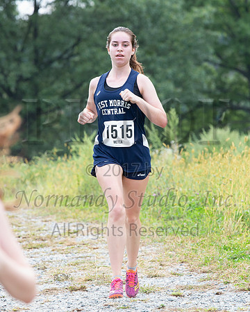 WMC_04_cc-g