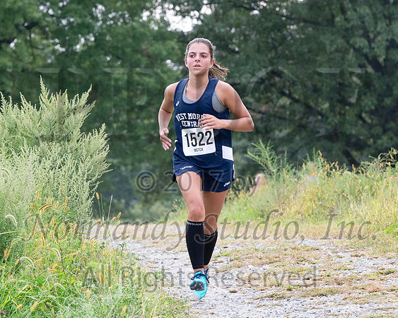WMC_08_cc-g