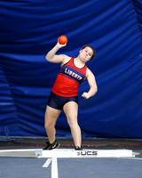 LIB_wt-g_09