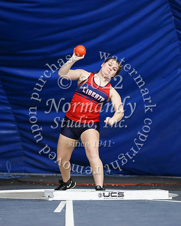 LIB_wt-g_09