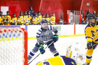 ICE HOCKEY