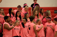 LIB_botc_20