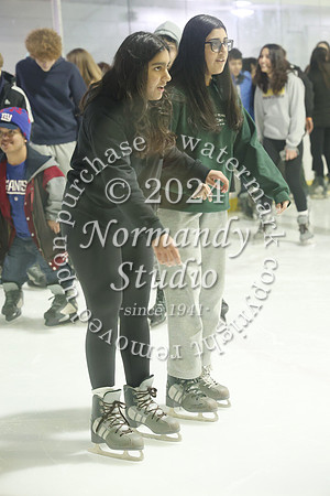 WTG_ice_skate_013