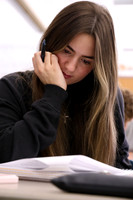 CNH_slc_10