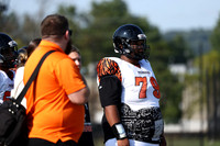 SVL_fb-f_12