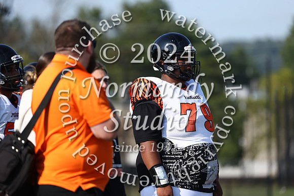 SVL_fb-f_12