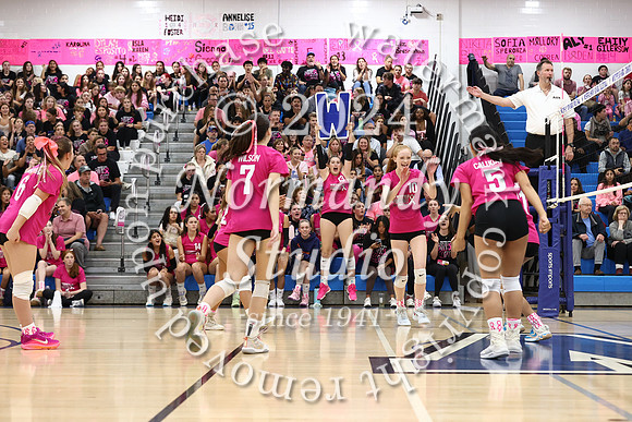 WHS_vb-pink out_45
