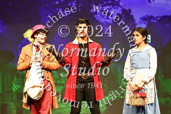 MNP_beauty & the beast_35