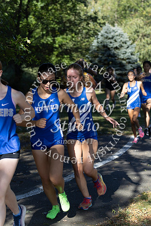 WHS_cc-g_19