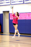 WHS_vb-pink out_12