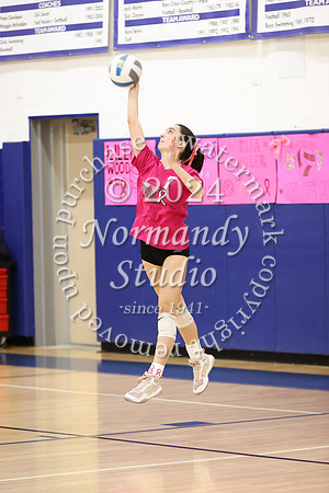 WHS_vb-pink out_12