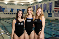 WHS_sw-g-t_01