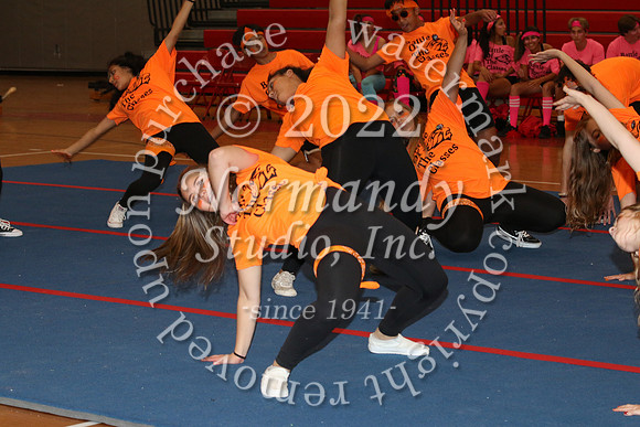 LIB_BOTC_55