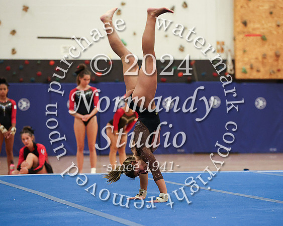 WTG_gy_43