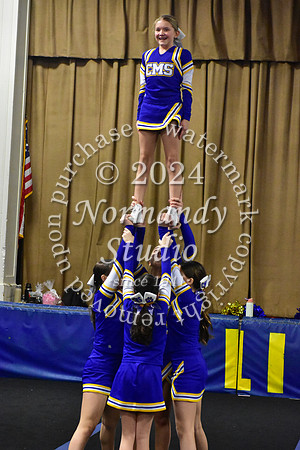CHS_comp ch_28