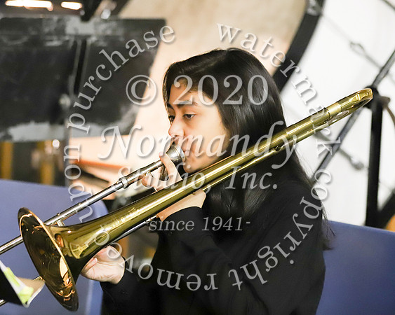 CNH_018_mus