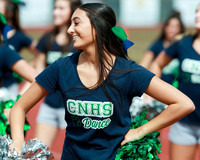 CNH_13_dt
