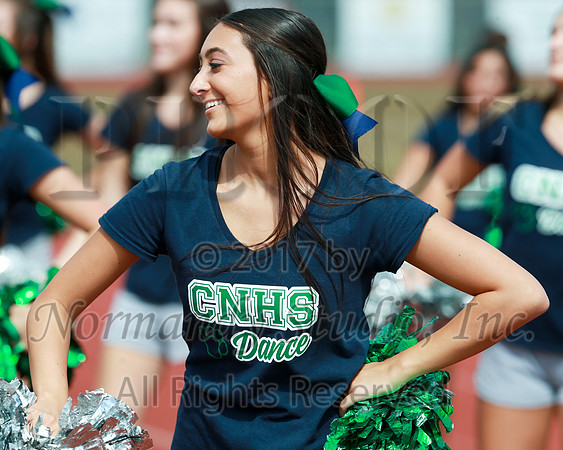 CNH_13_dt