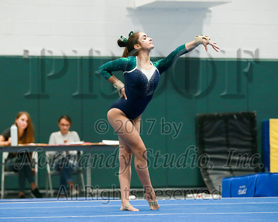 CNH_37_gy