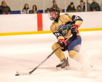 ICE HOCKEY