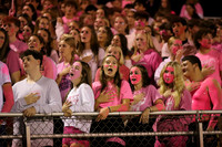 DVH_fans_17