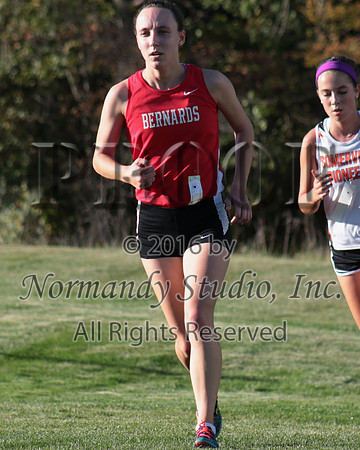 BER_22_cc-g