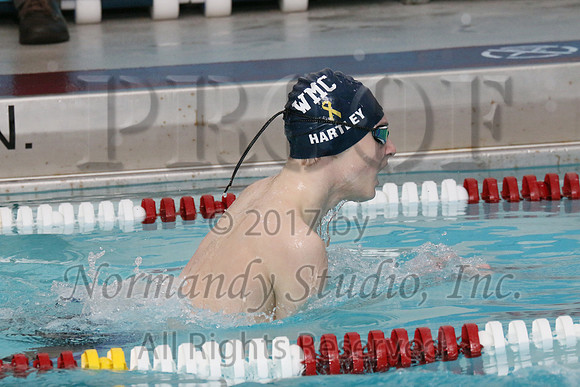 WMC_51_sw-b