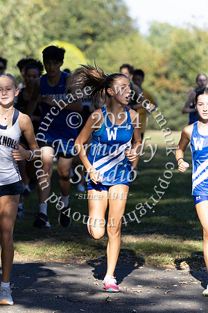 WHS_cc-g_15