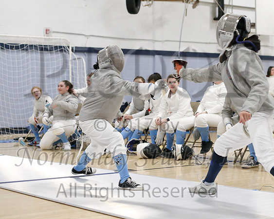 WMC_070_fe-g