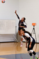 MSM_vb-g_11